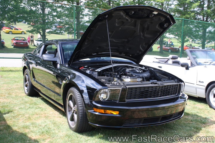 Mustang